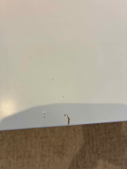 Photo of free IKEA coffee table white (PO3 Baffins) #3