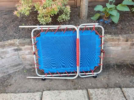 Photo of free Child's trampoline (Hornsey N8) #3