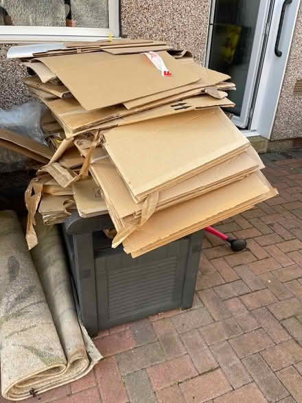Photo of free Packing boxes etc (Lanarkshire) #3