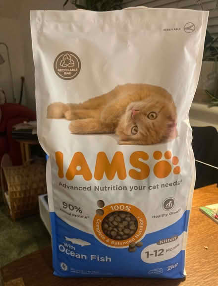 Photo of free Iams kitten food, salmon flavour, 2kg (Headington Quarry OX3) #1