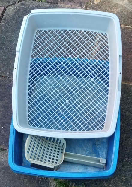 Photo of free Lift and Sift cat litter tray (east twickenham) #2