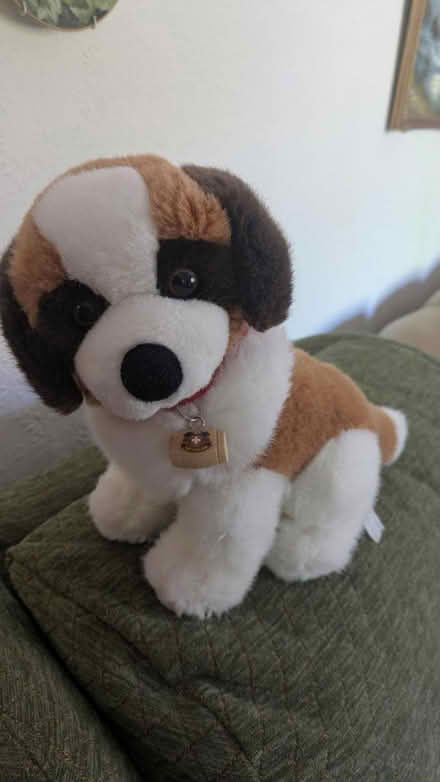 Photo of free Cuddly St Bernard toy (CM15 Shenfield) #1