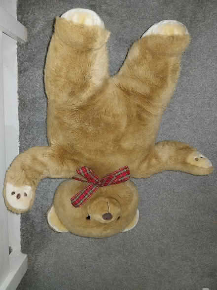 Photo of free Large teddy bear (Woodside TF7) #1