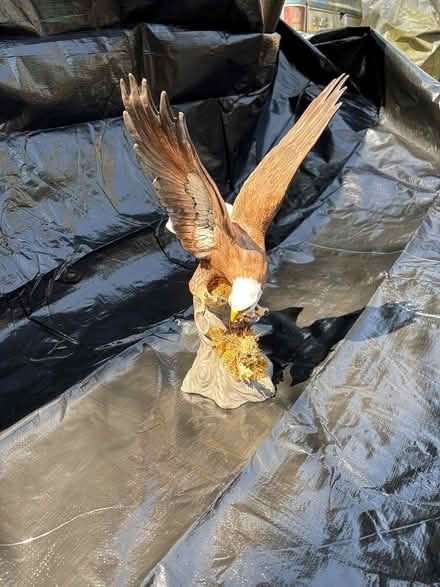 Photo of free Eagle statue (Kanata) #1