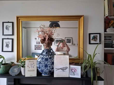 Photo of free Fireplace mirror (Edgedale Road S7) #1