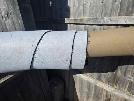 Photo of free New carpet on a roll (SG18) #3