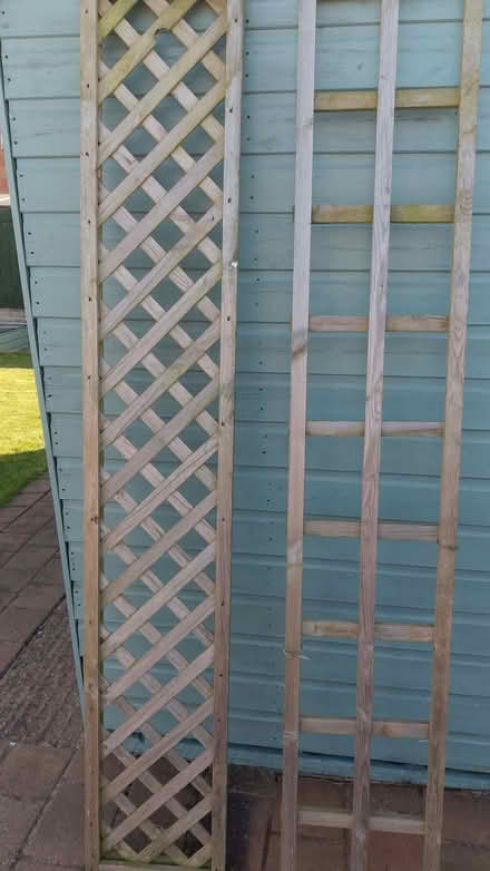 Photo of free Garden Trellis (High Hesket CA4) #1