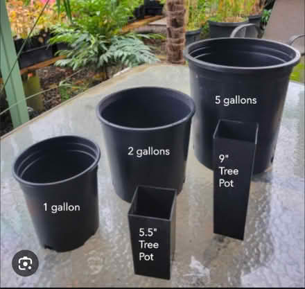 Photo of Pots - 2 gallon size and up (Salinas) #1