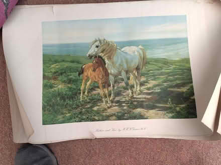 Photo of free Vintage prints (Oakdale, Poole BH15) #1