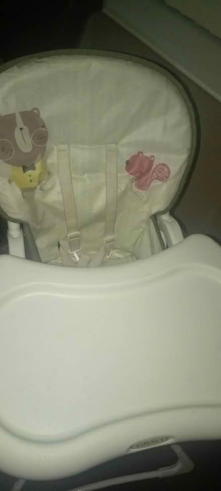 Photo of free Baby high chair (Coseley WV14) #4