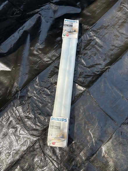Photo of free Light Bulbs (Kanata) #1