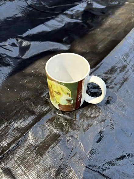 Photo of free Doberman (Dog items) (Kanata) #2