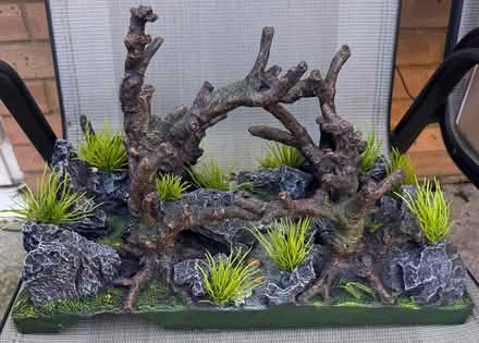 Photo of free Fish tank ornament (CR7) #2