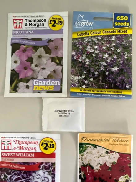 Photo of free Flower seeds (CO4 9 Colchester) #2