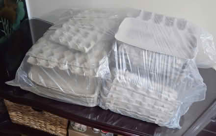 Photo of free Egg cartons (Leslie and Major Mackenzie) #1