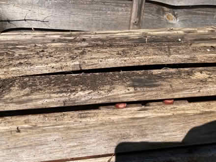 Photo of free IKEA gateleg outdoor table (Wooburn Green, HP10) #4