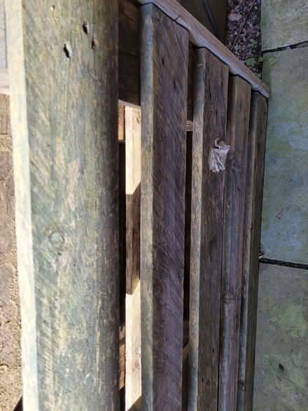 Photo of free Pallets (Rudheath CW9) #2