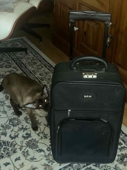 Photo of free Carry on bag (Crowthorne RG45) #1