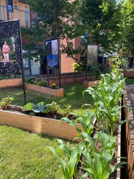 Photo of Stepping stones + garden donations (BS4 3AR) #1