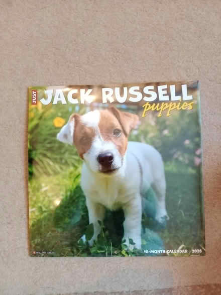 Photo of free Dog and kitten 2026 calendars (Jackman's estate, Letchworth) #1