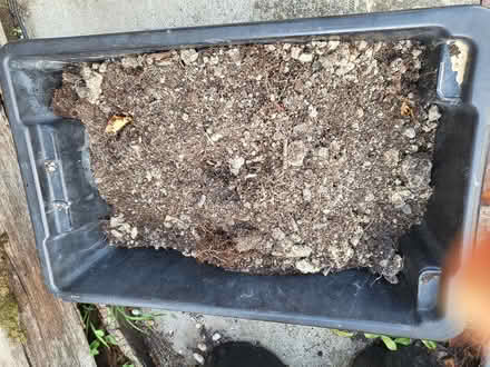 Photo of free garden soil used (Glen Waverley) #1