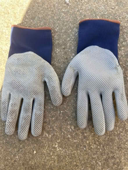 Photo of free Gardening bits & Basket/planter (CO4 9 Colchester) #3