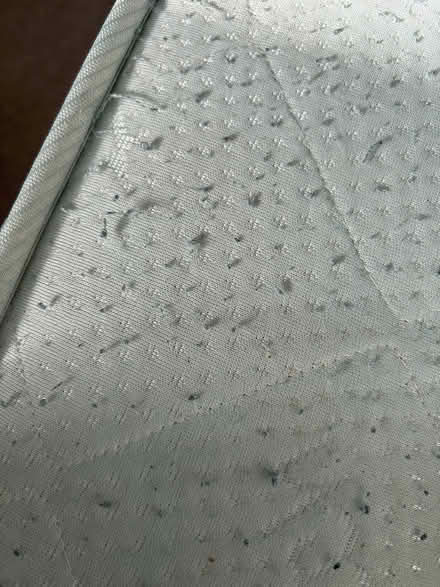 Photo of free Single bed mattress (High street WD17) #4