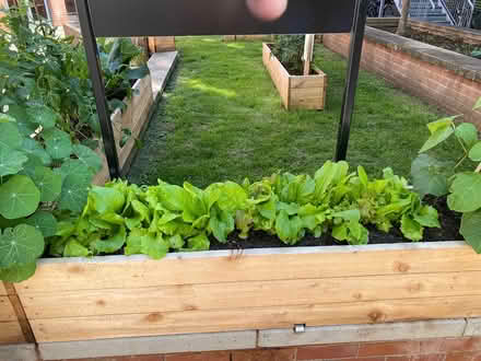 Photo of Stepping stones + garden donations (BS4 3AR) #2