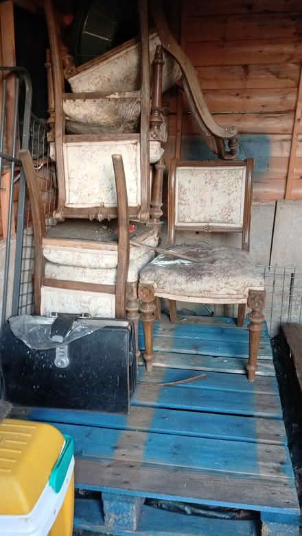 Photo of free 6 Victorian chairs need tlc (Leigh near Reigate) #1