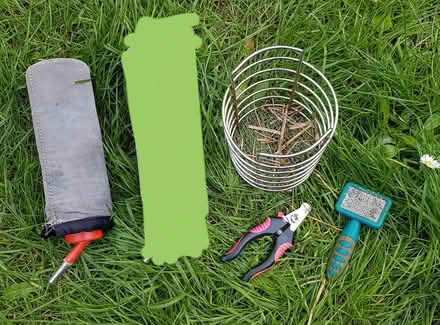 Photo of free Guinea pig/rodents accessories (Eastville BS5) #1