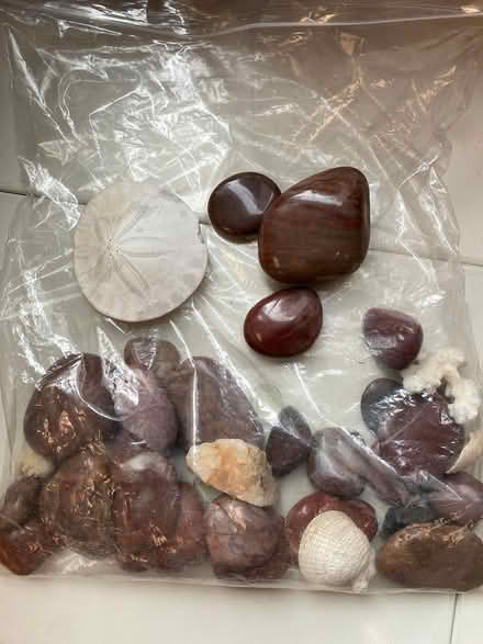 Photo of free Stones & sea stuff (Downtown) #1