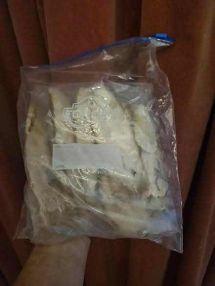 Photo of free Cuttlefish Bird food (Morden SM4) #1