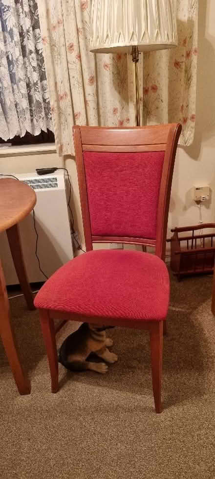 Photo of free Dining table and 2 chairs (Portchester PO16) #2