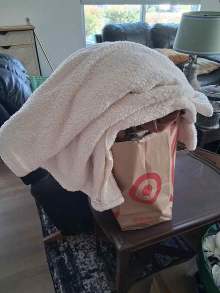 Photo of free Plus Size Clothes (Fremont) #1