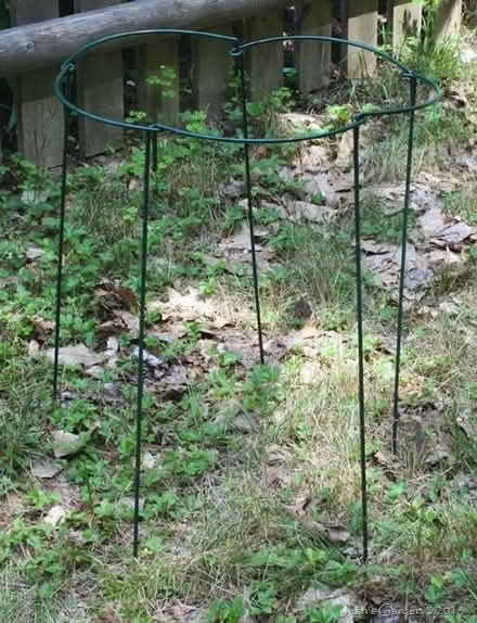 Photo of free 5 x Plant supports / Linking stakes (Pokesdown BH5) #2