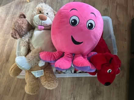 Photo of free Huge box of good soft toys (CH61) #1