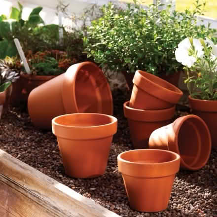 Photo of Garden pots and planters needed!🪴 (BD23 2DU) #1