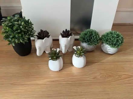 Photo of free Artificial decorative plants (CV6) #1