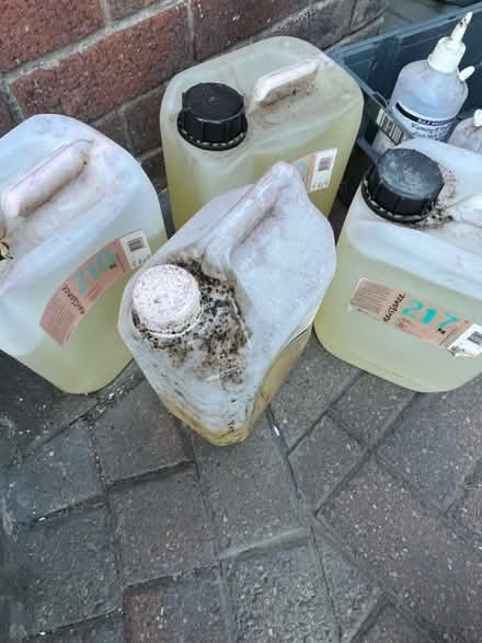 Photo of free Grapeseed oil and castor oil (Litherland) #1