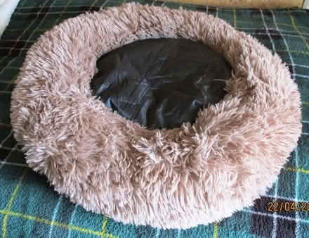Photo of free Round “Donut” Pet Bed (Odd Down BA2) #2