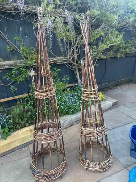 Photo of free Wigwam style support for plants (Comberton DY10) #3