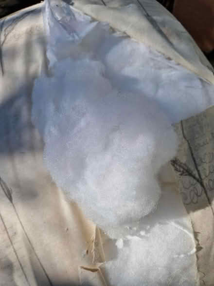 Photo of free Stuffing for cushions etc (Dunfermline KY12) #3