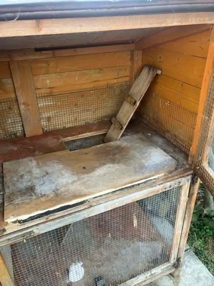 Photo of free Rabbit Hutch (Prittlewell SS2) #2