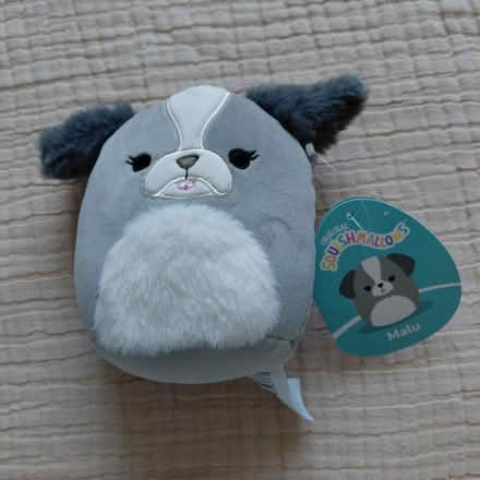 Photo of free Squishmallows - Malu (Union City) #1