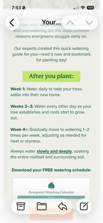 Photo of free 6 New trees (NE Vienna) #3