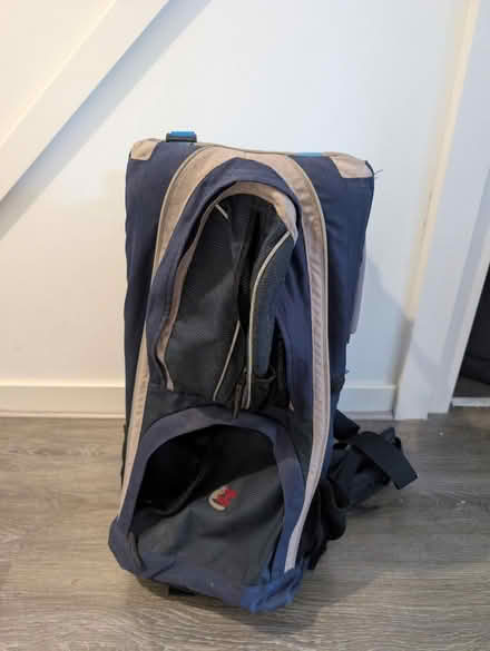 Photo of free Baby carrier (Sutton courtenay OX14) #3