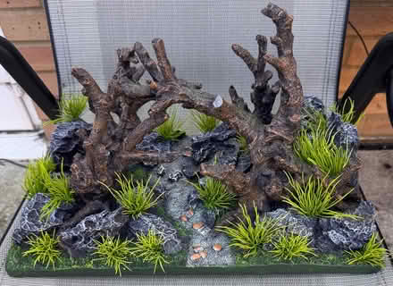 Photo of free Fish tank ornament (CR7) #1