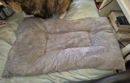 Photo of free New Pet Crate Pad, Small (Meadowbrook) #1