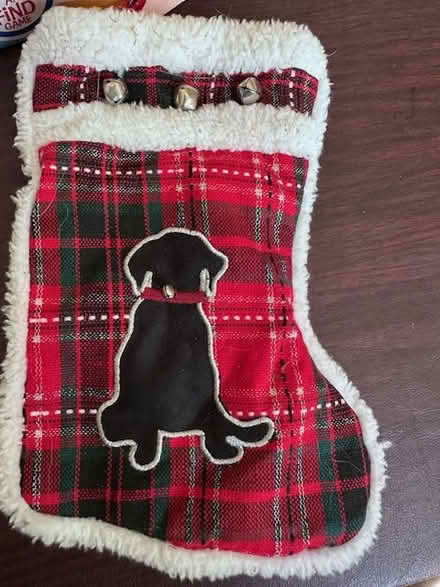 Photo of free dog xmas stockingg (Hastings on Hudson) #1