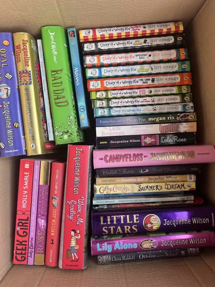 Photo of free Box of children's books (Wooton SY11) #1